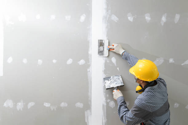 Best Post-Construction Mold Inspection  in South Farmingdale, NY