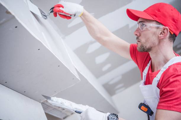 Professional Mold Removal in South Farmingdale, NY